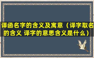 译函名字的含义及寓意（译字取名的含义 译字的意思含义是什么）